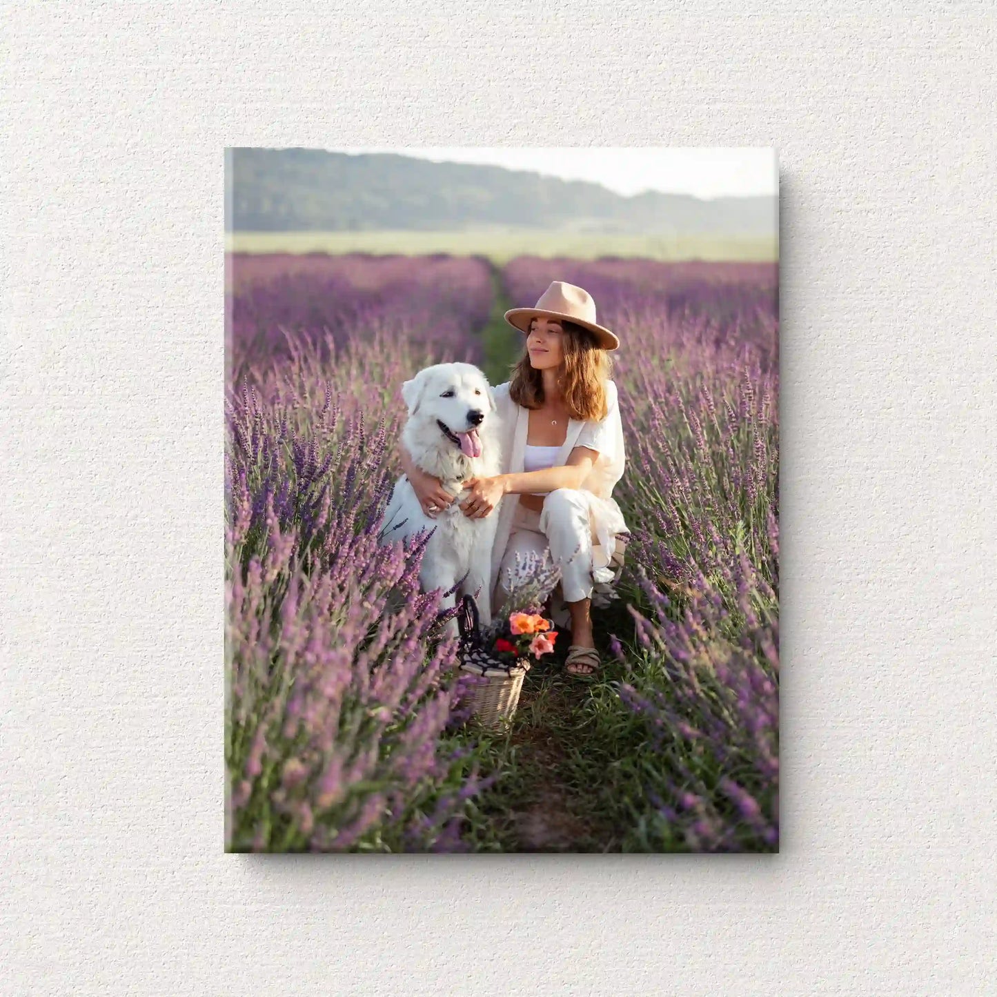 Acrylic wall print showing a person wearing a hat sitting in a lavender field holding a white dog, with rows of purple flowers and soft natural light.