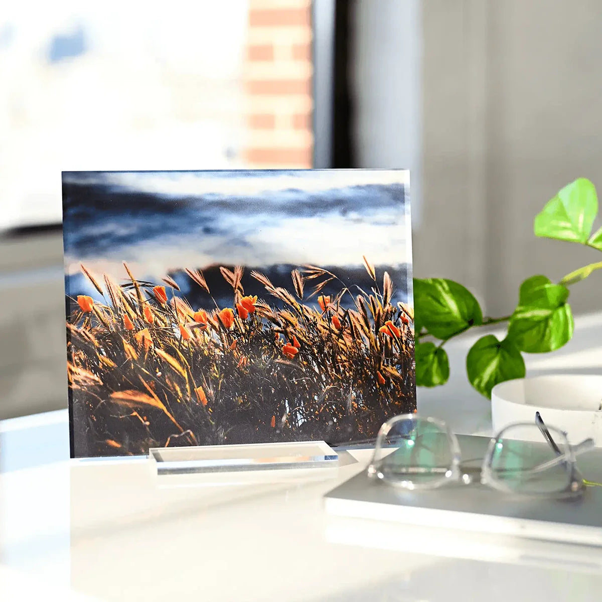 Acrylic desk print of orange flowers and tall grass by the water, displayed on a clear stand beside glasses and a plant.