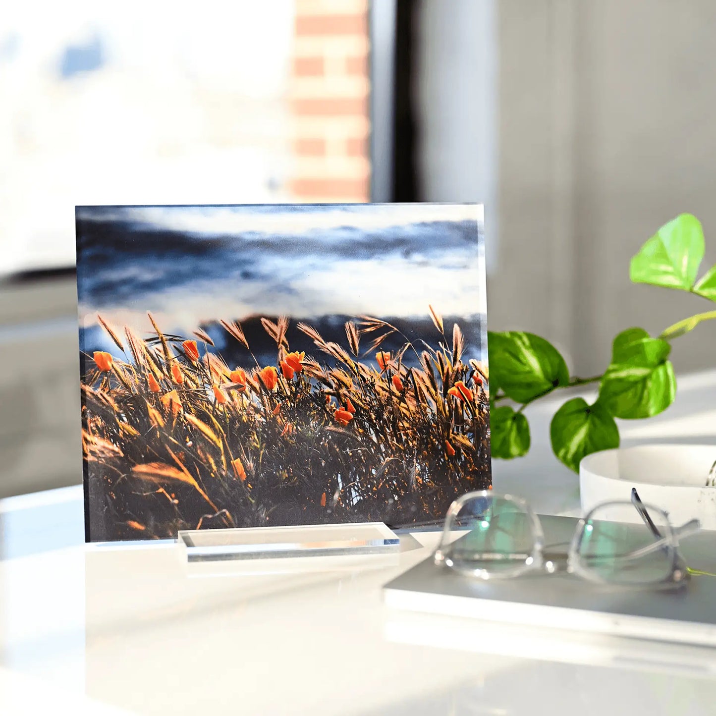 Landscape acrylic desk print of orange wildflowers and tall grasses by the coast, styled on a white desk near glasses and a leafy plant.