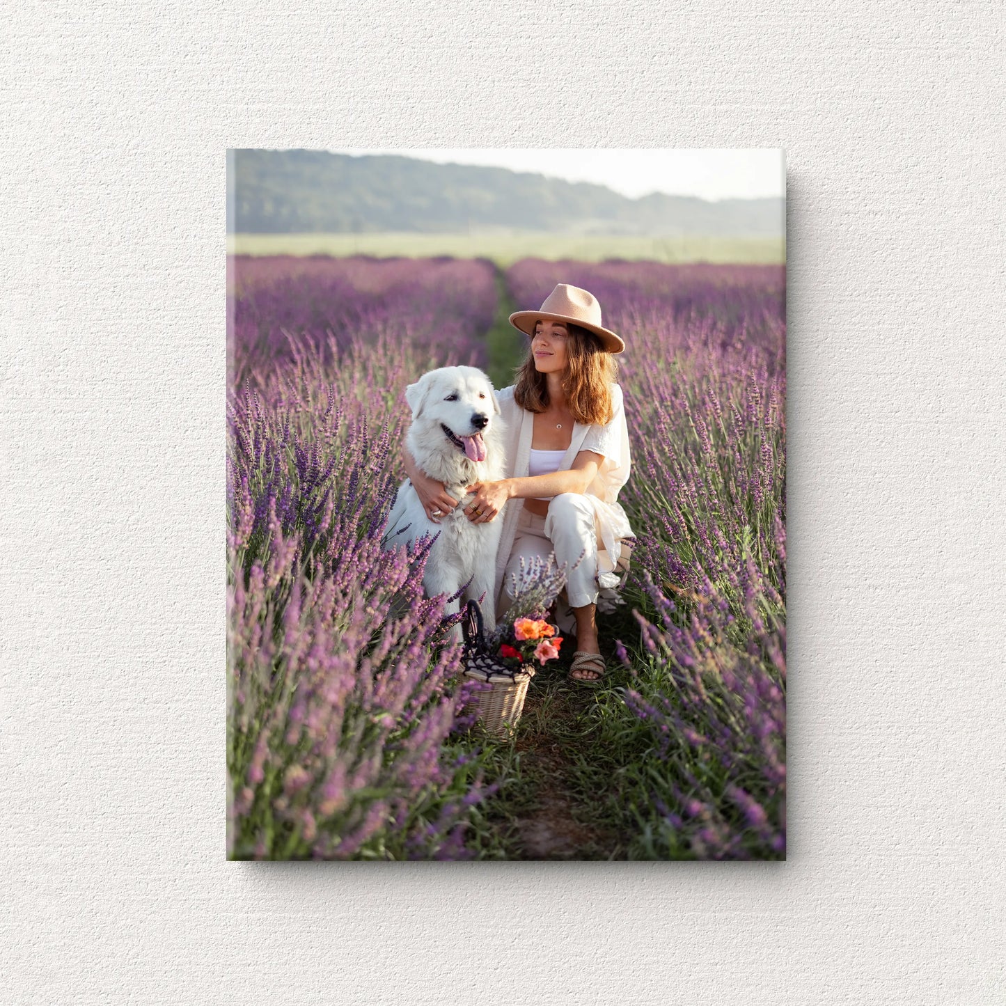 Acrylic wall print showing a person wearing a hat sitting in a lavender field holding a white dog, with rows of purple flowers and soft natural light.