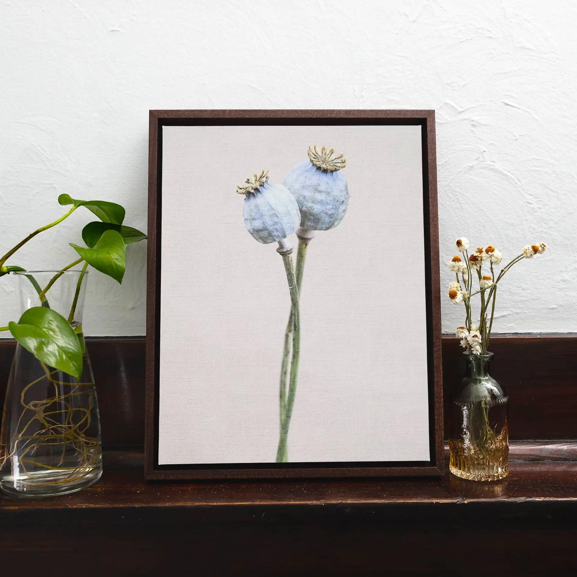 Dark wood framed canvas featuring minimalist botanical artwork of two pale blue poppy pods, displayed on a wooden ledge beside glass vases.