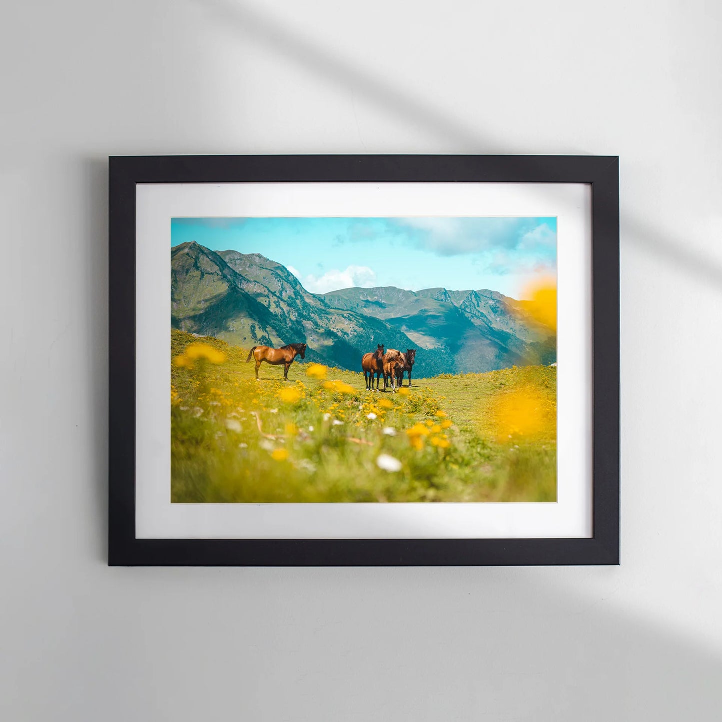 Framed photo print with a white mat, featuring horses standing in a mountain meadow with wildflowers.