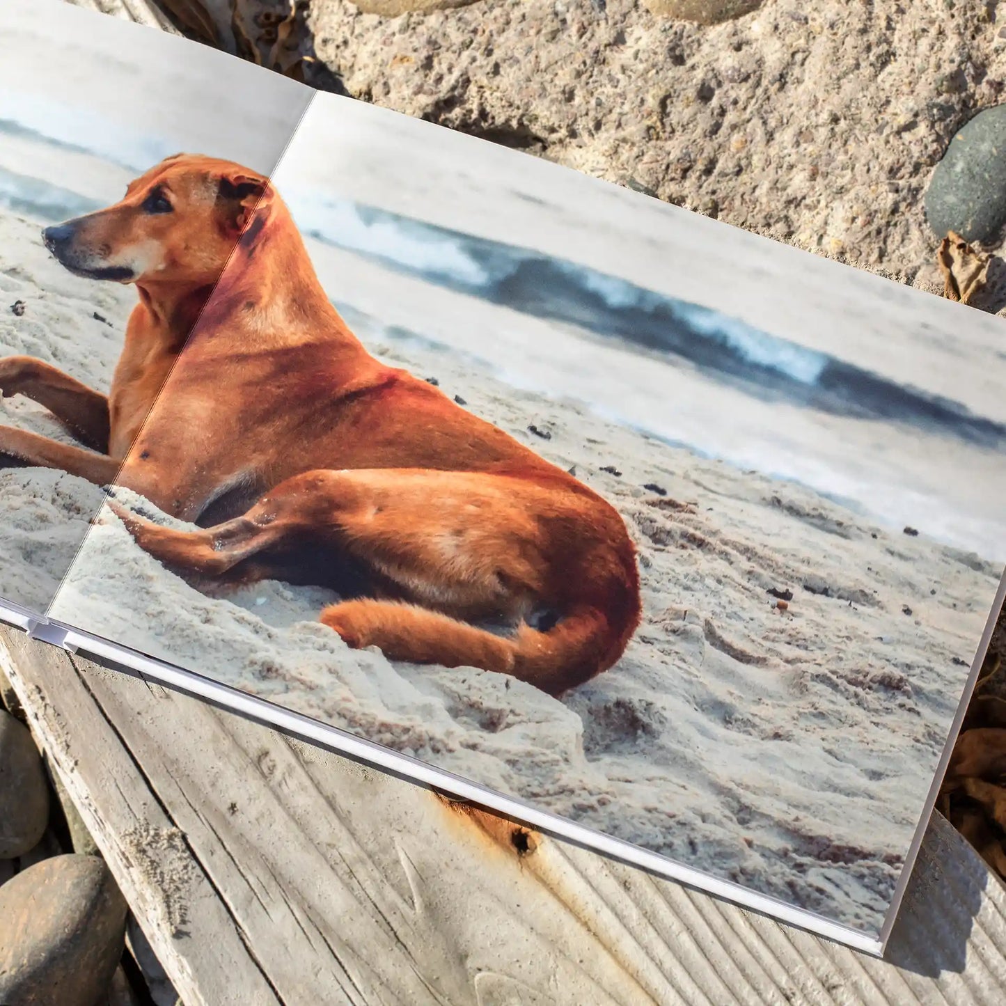 Layflat photo book displaying panoramic full-bleed image of dog lying on sandy beach, with seamless gutter across pages on textured outdoor surface.