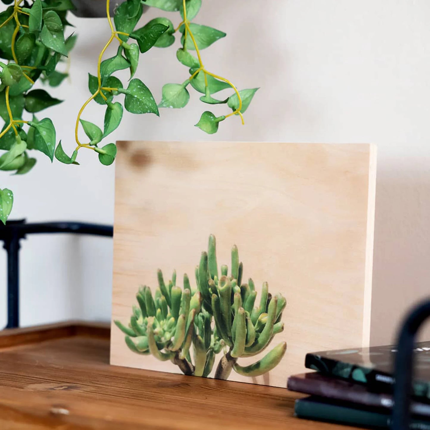 Maple wood print featuring a green succulent against natural wood grain background, displayed on a wooden shelf beneath hanging greenery.