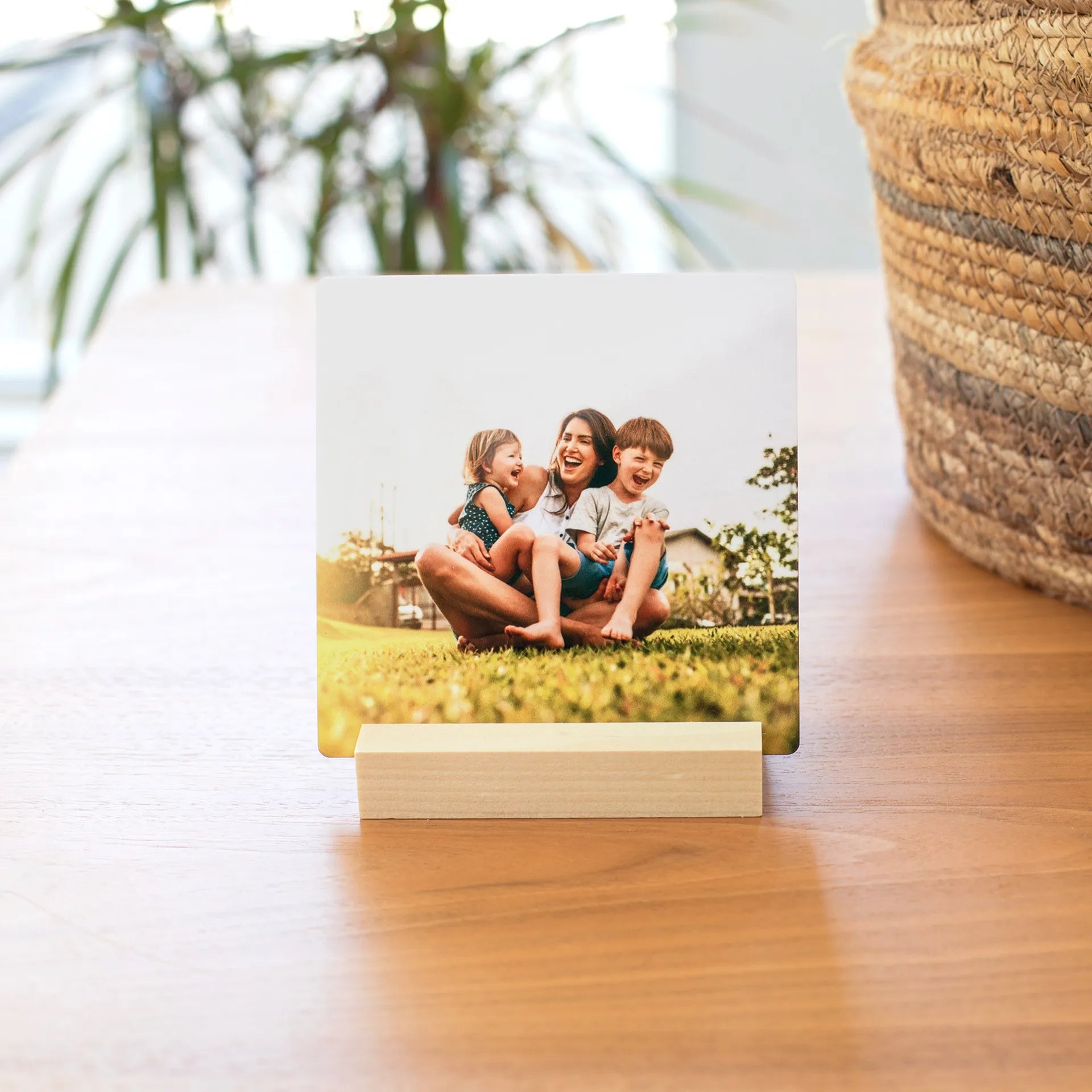 Metal desk print of a mother sitting on grass with two children laughing, positioned on a wooden table near a woven basket planter.