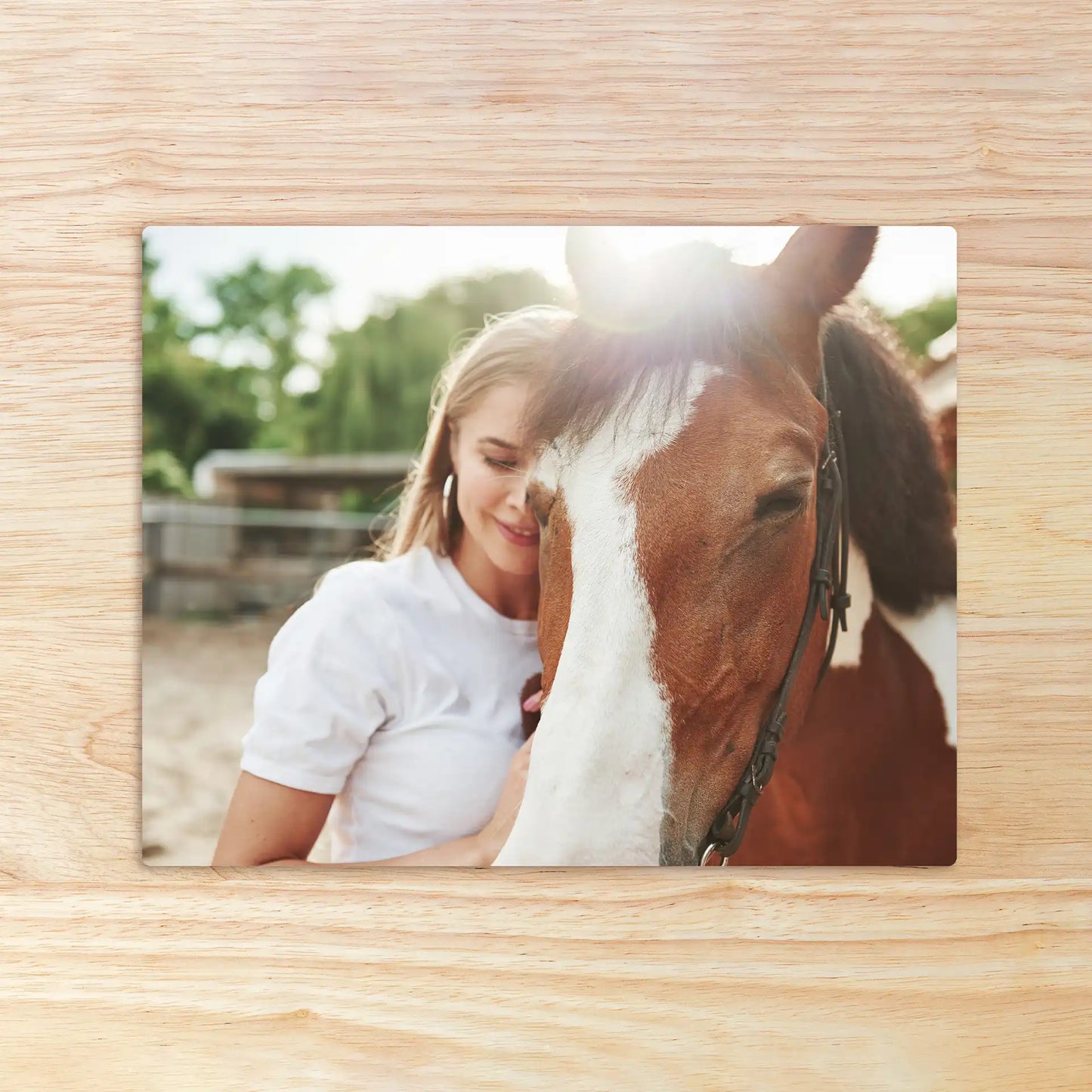 Metal wall decor print of a woman standing close to a horse with sunlight shining from behind in an outdoor stable setting.