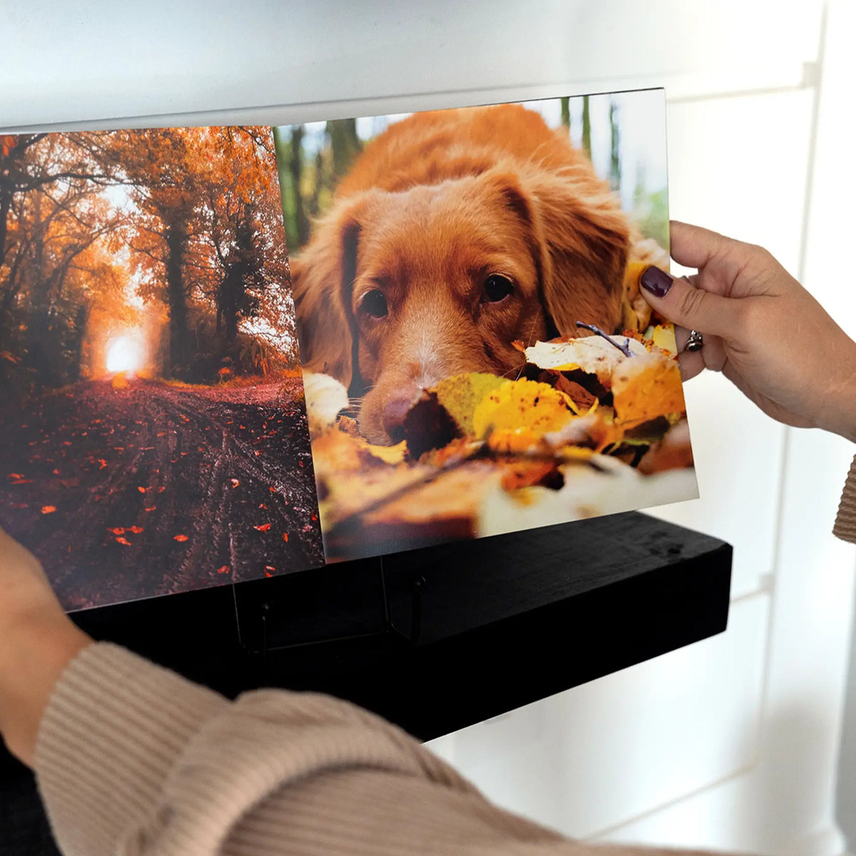 Softcover photo book pages showing a sunlit autumn forest path and a golden retriever puppy nestled in fall leaves.
