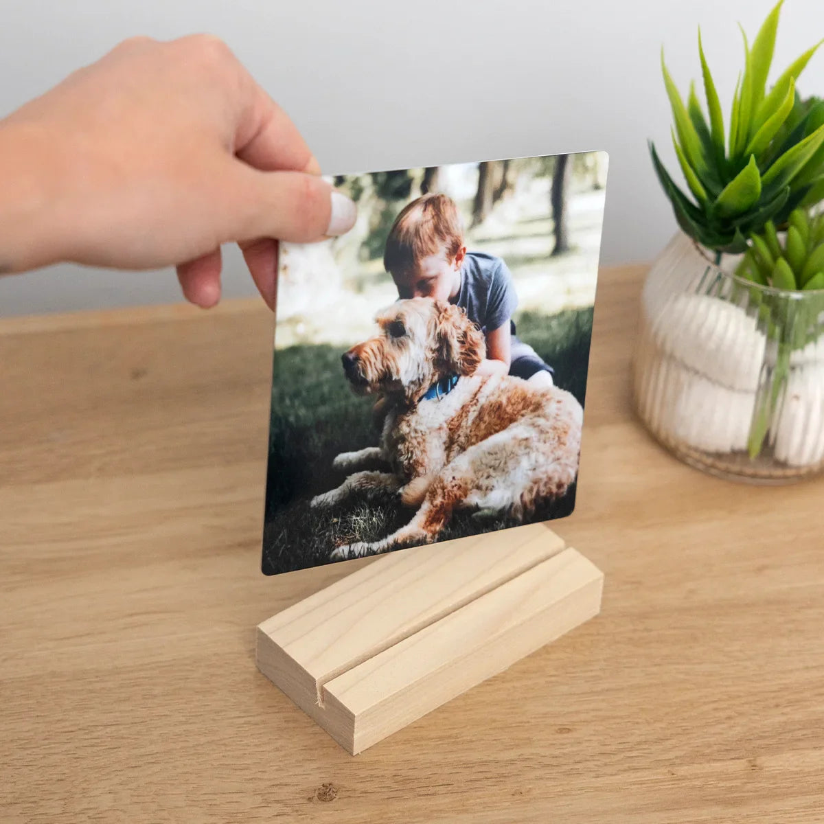 Metal desk print of a boy hugging a dog, placed in a wooden stand on a tabletop next to a plant.