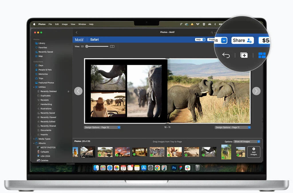 Laptop screen showing the safari photo book editor with the Share button highlighted in the top navigation bar.
