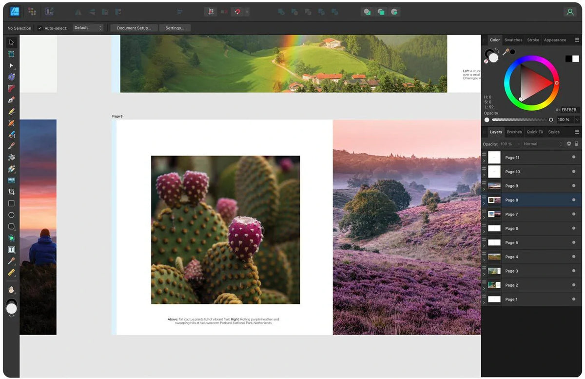 Photo book layout editing interface showing landscape photography pages, including cactus close-up and purple heath landscape images.