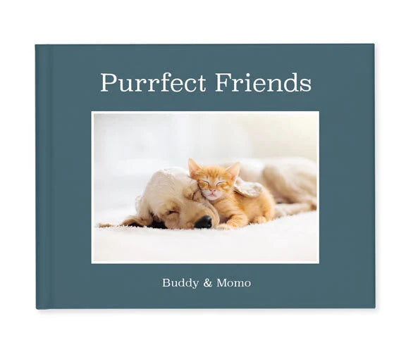 Softcover photo book cover with teal background and centered photo of golden retriever and orange kitten sleeping together.