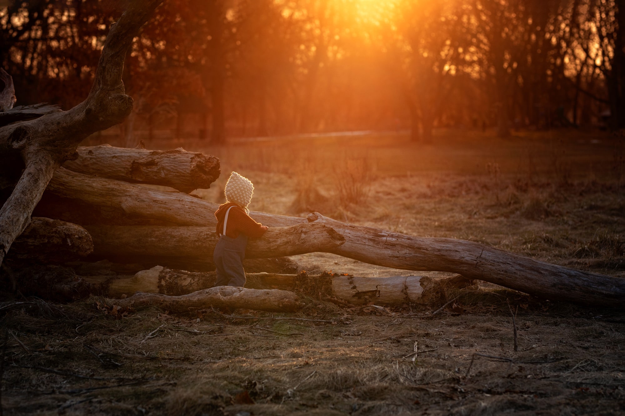 early morning sun rays with child leaning against fallen tree