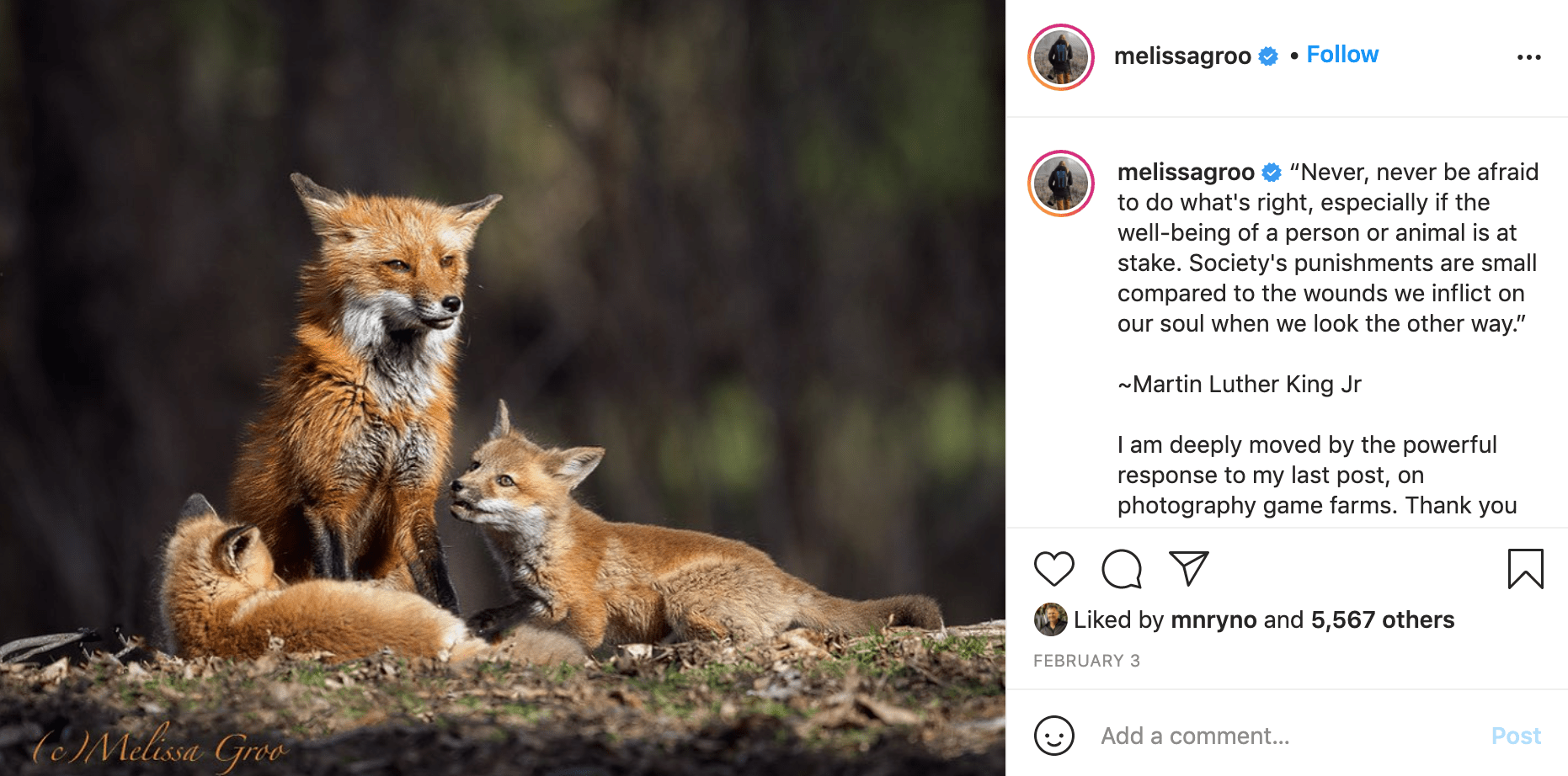 Follow Wildlife Conservation Photographer - Melissa Groo 