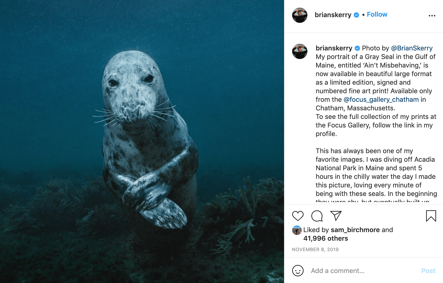 Follow Nat Geo Photographer & Nikon Ambassador - Brian Skerry