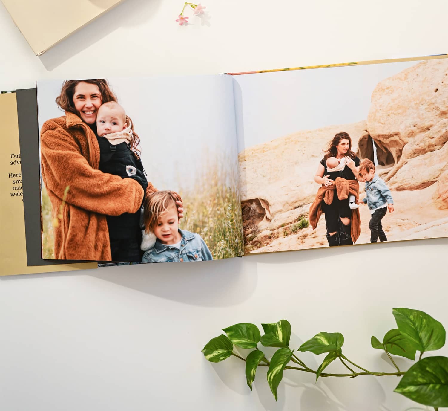 https://mimeophotos.com/product_images/blog/mothers-day-photobooks-0.jpeg