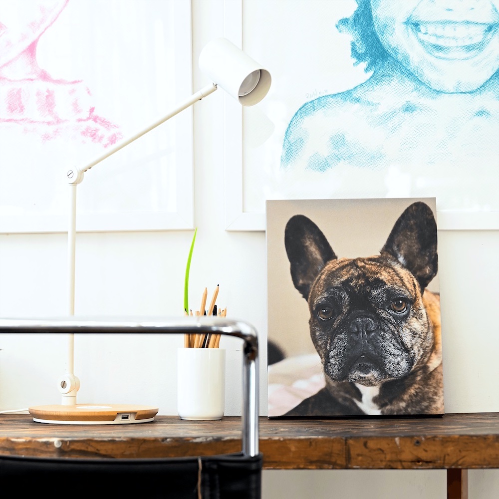 Shop Mimeo Photos' Canvas Wall Decor to put your four-legged friend on display anywhere in your home