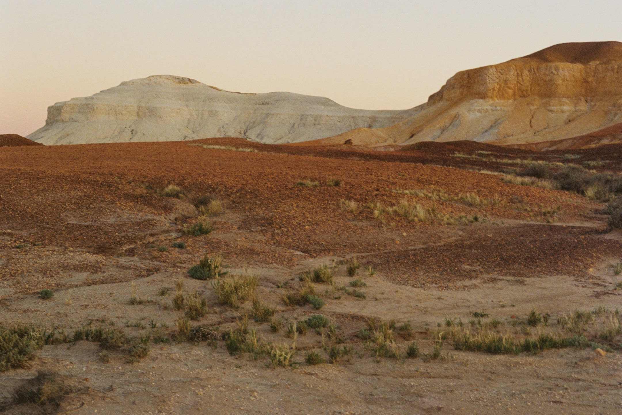 desert landscape by claire newland