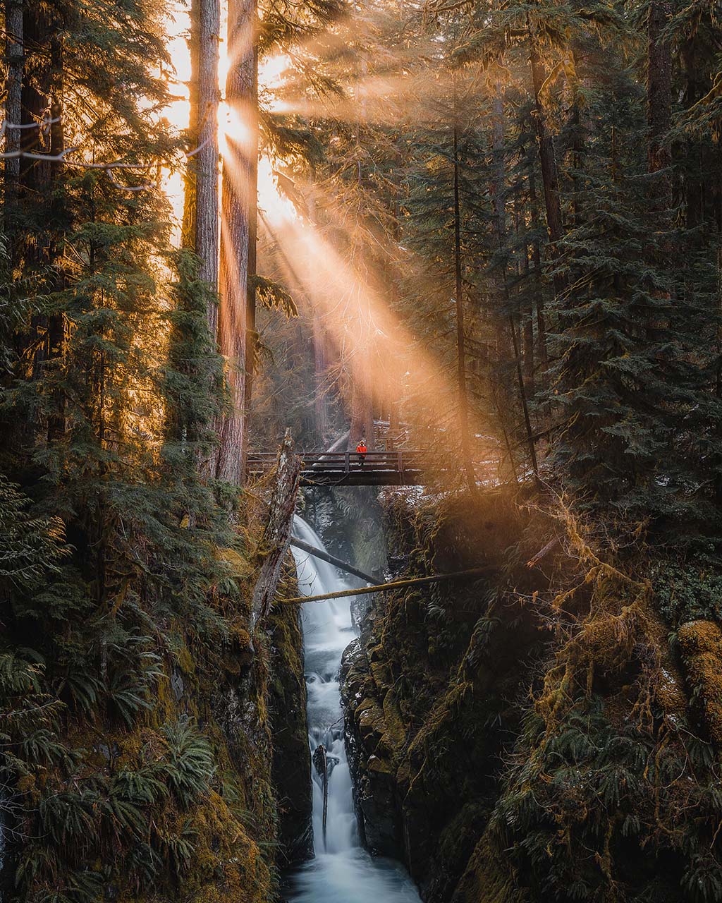 Hiker during sunrise