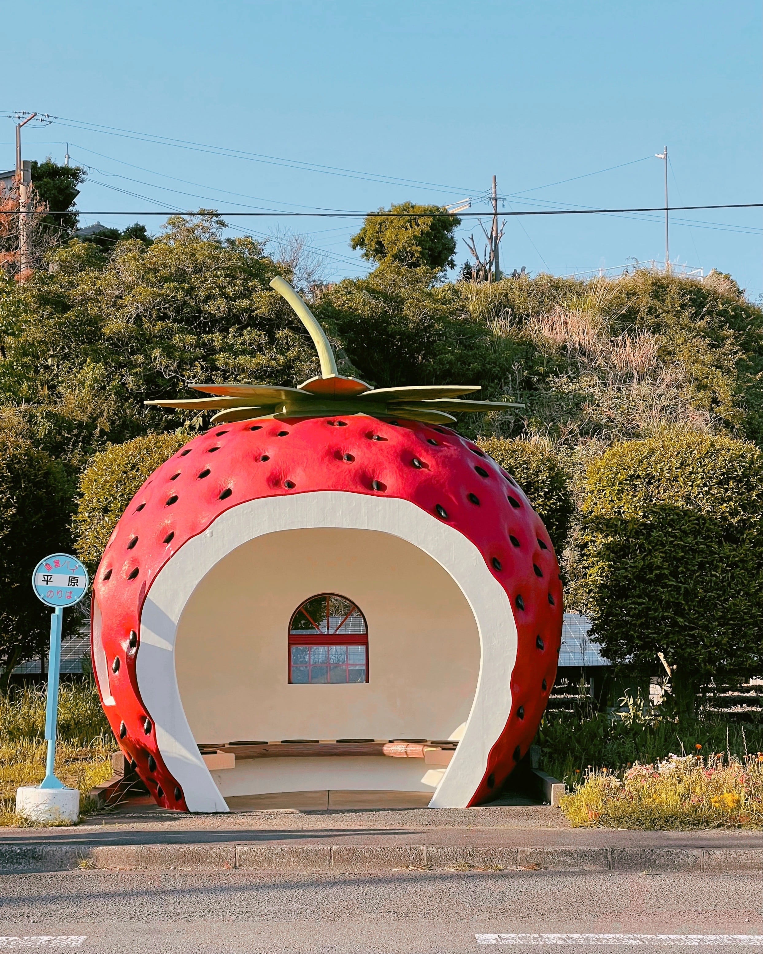 strawberry building