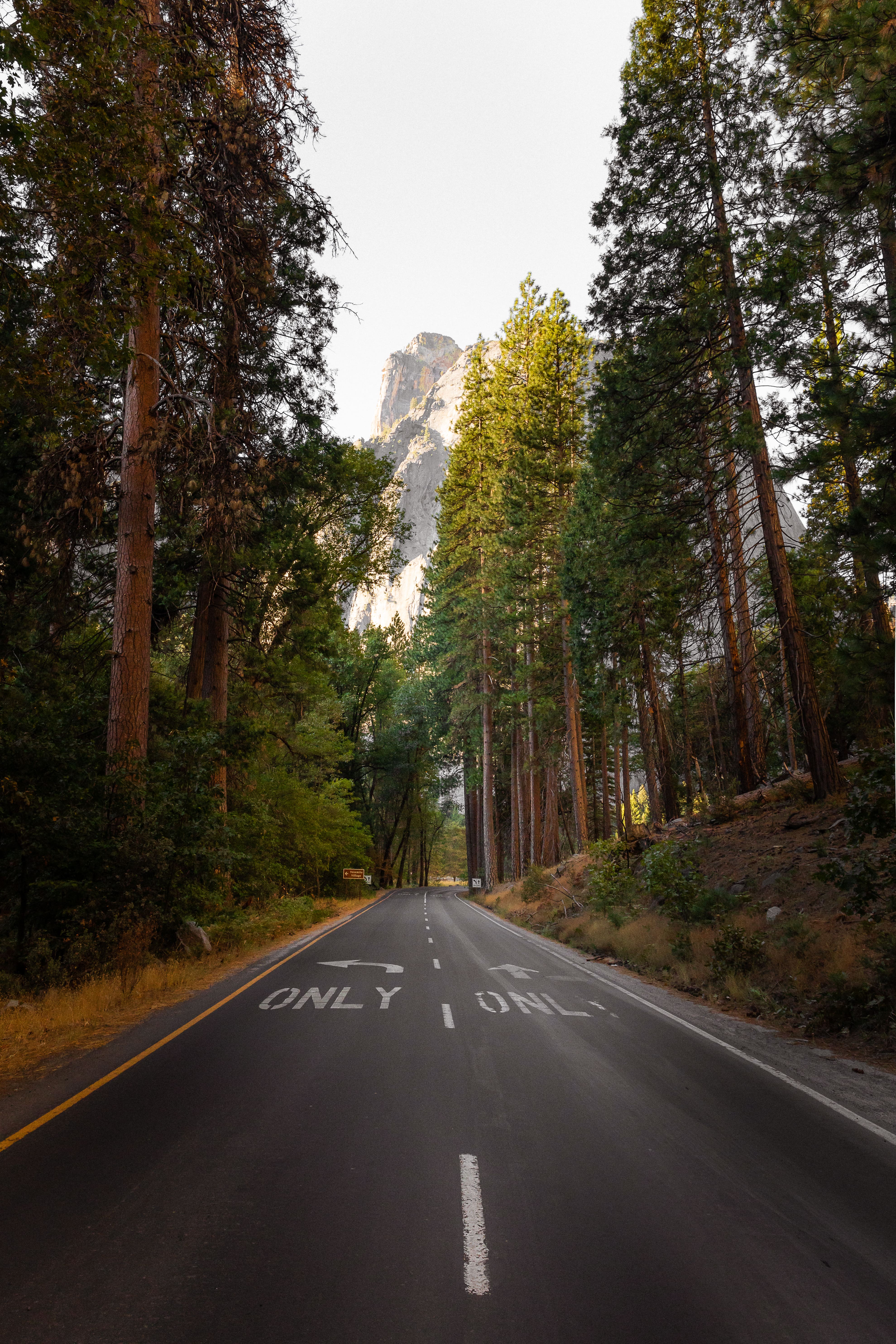 Sunrise on a road leading to a mountain in Yosemite