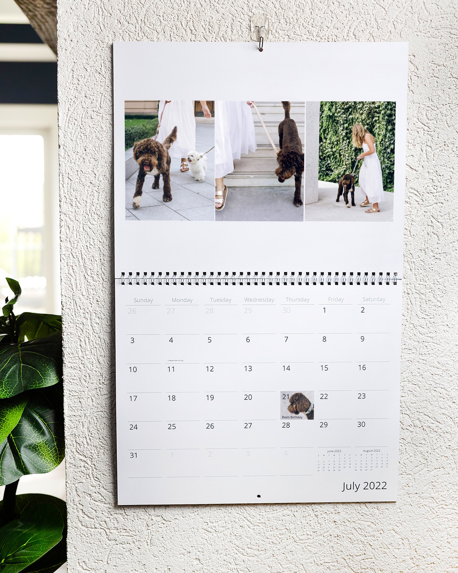 dog calendar hanging on wall