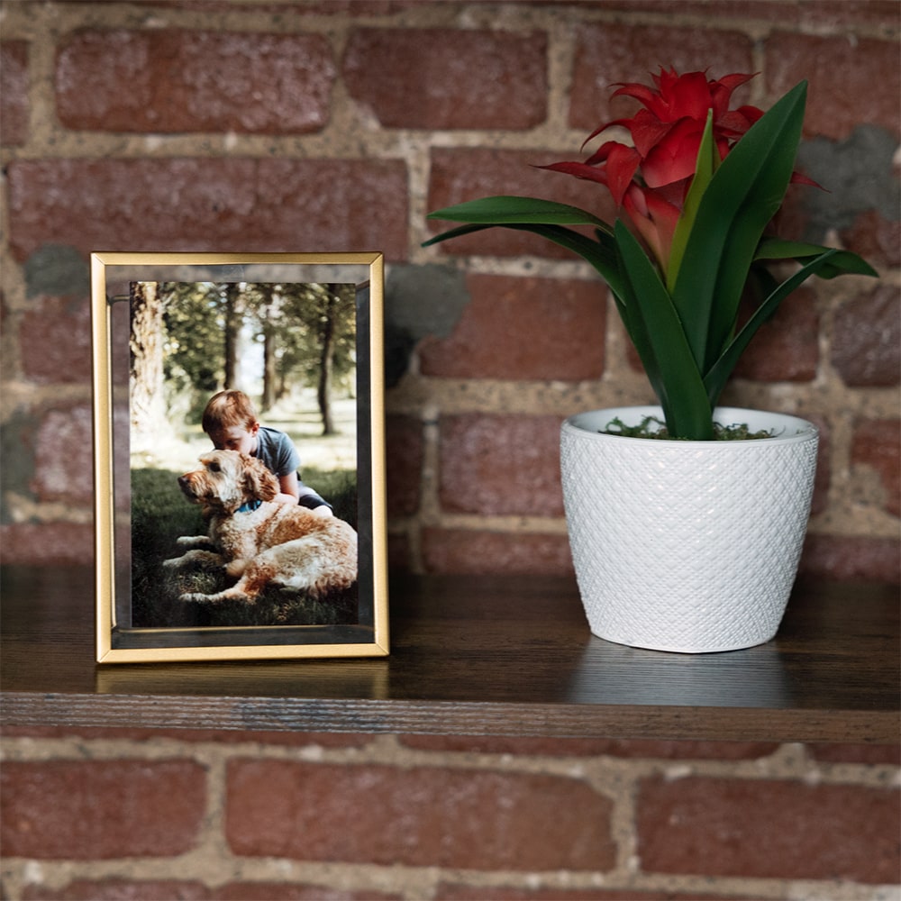 gold picture frame of little boy with his dog