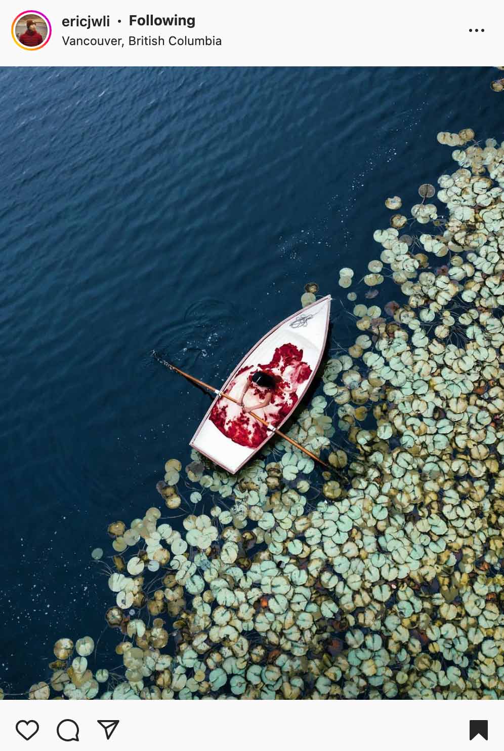 birds eye view of woman rowing a boat with lily pads in the water