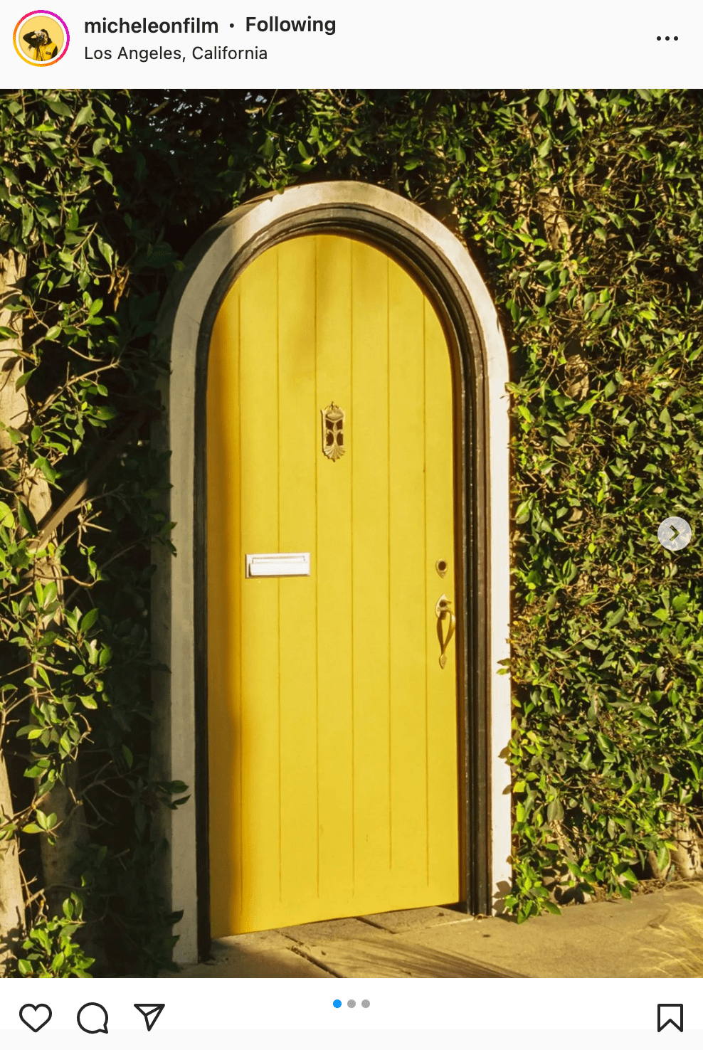 yellow door against green vine wall